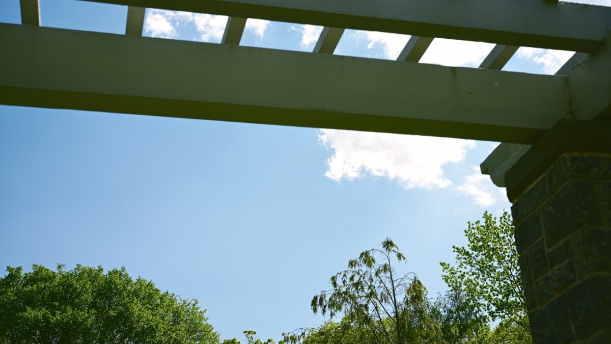 Pergola poskytující stín nad terasou v létě
