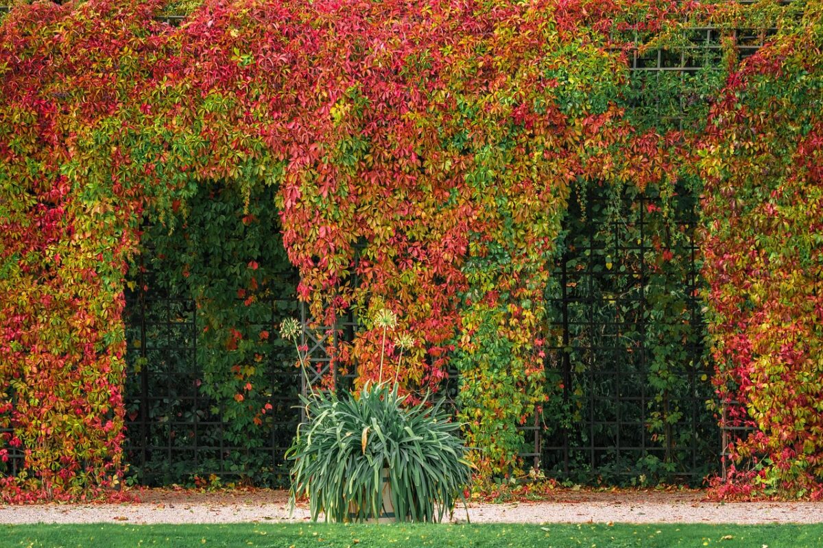 Pergola se zataženým látkovým stíněním nad terasou se zahradním posezením